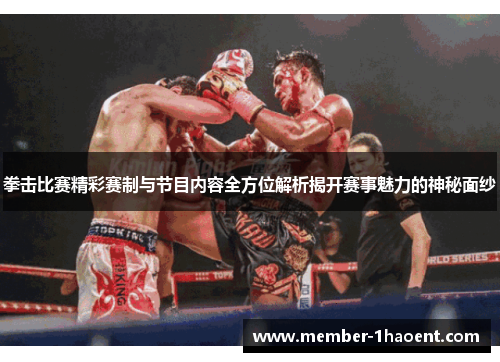 拳击比赛精彩赛制与节目内容全方位解析揭开赛事魅力的神秘面纱