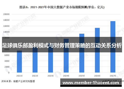 足球俱乐部盈利模式与财务管理策略的互动关系分析