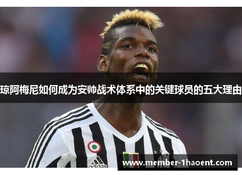 琼阿梅尼如何成为安帅战术体系中的关键球员的五大理由