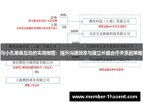 与小孔塞桑互动的实用指南：提升沟通效率与建立长期合作关系的策略