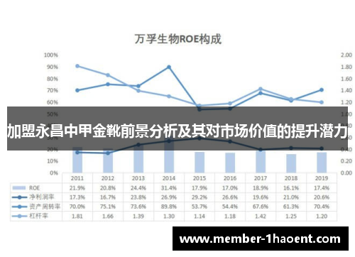 加盟永昌中甲金靴前景分析及其对市场价值的提升潜力