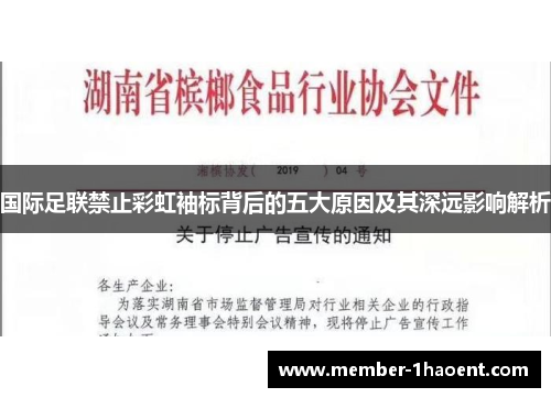 国际足联禁止彩虹袖标背后的五大原因及其深远影响解析
