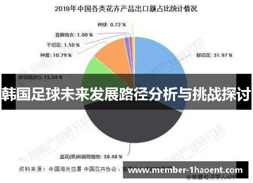 韩国足球未来发展路径分析与挑战探讨