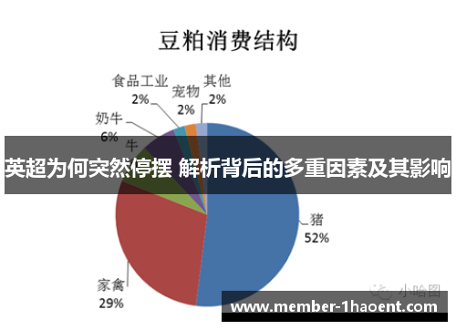 英超为何突然停摆 解析背后的多重因素及其影响