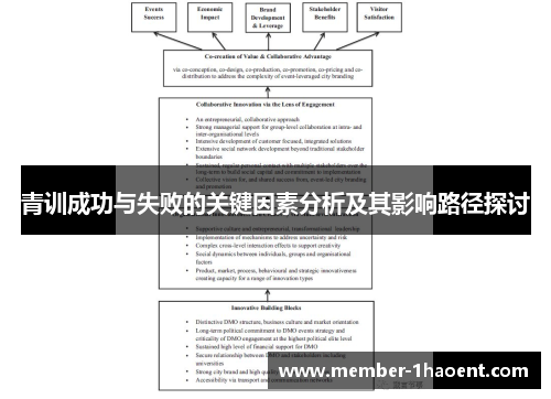 青训成功与失败的关键因素分析及其影响路径探讨